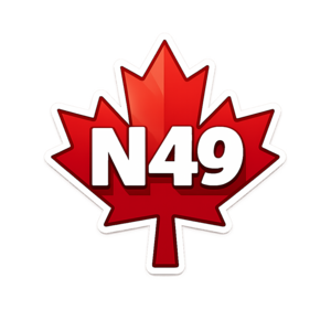 N49° Solutions - Canadian IT Consulting Logo